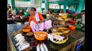 Уличная еда Экзотические блюда Мумбай Индия.Street Food Exotic Dishes Mumbai India