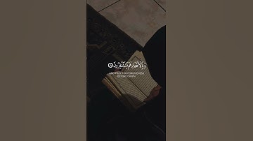 إن المتقين في جنات وعيون || محمد الوكيل من سورة الذاريات