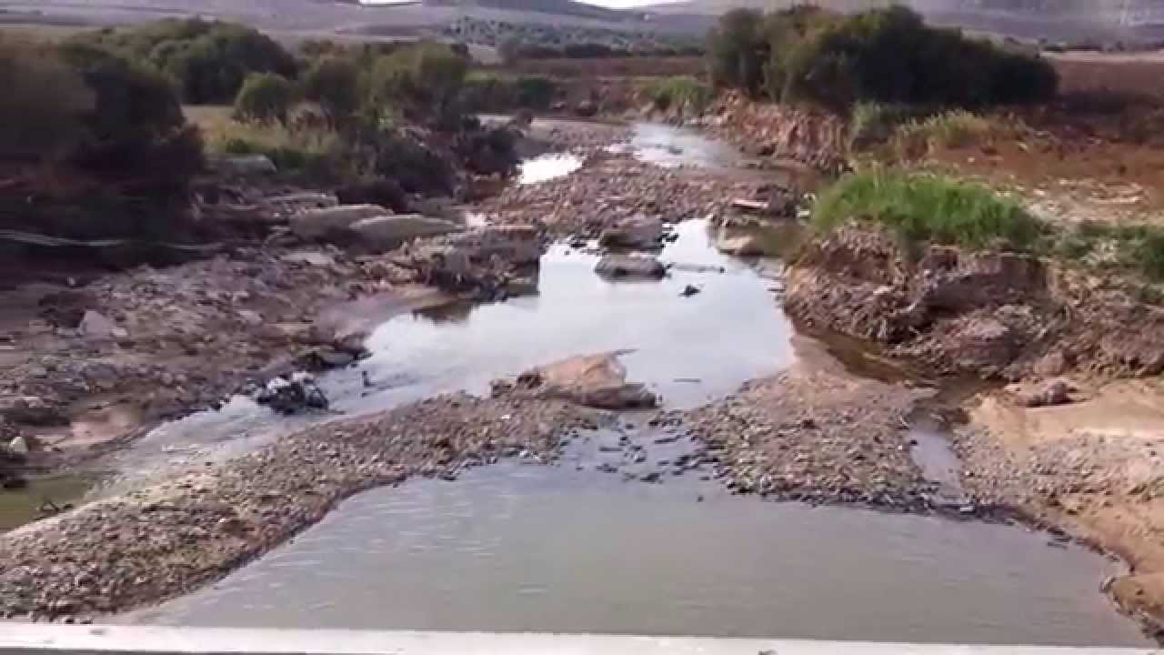 Riada
