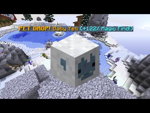 Baby yeti pet  Hypixel Forums