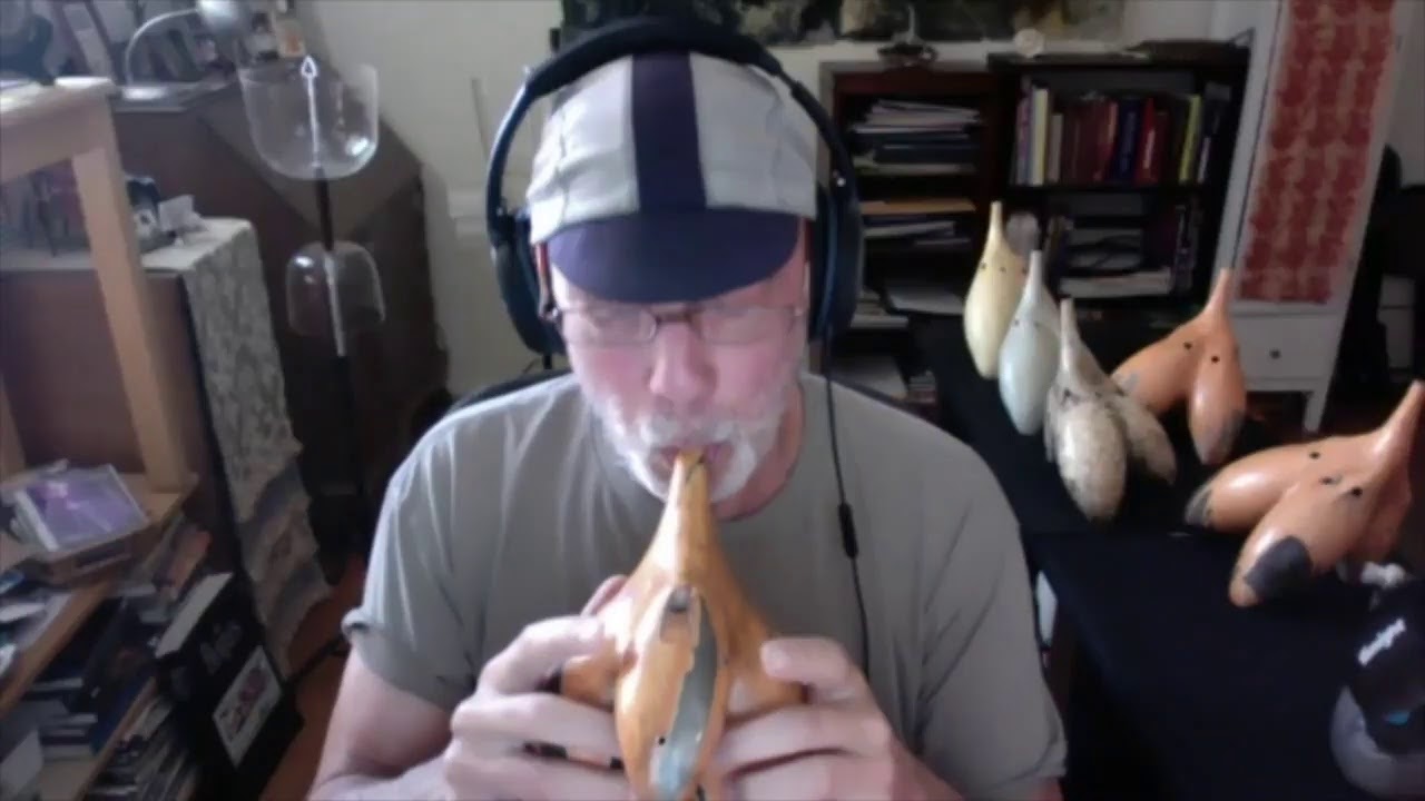 C4NM Window Gallery: The Innate by Alan Tower and Hans Houkes