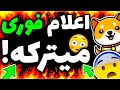 انفجاره بیبی دوج کوین اینقدر نزدیکه خود بیبی دوج کوین گفت بهتر از هستیم موفقیت جدید و داغ 