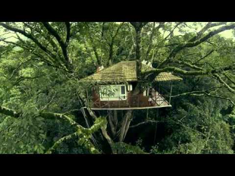 maklergroup-აიხდინე ოცნება