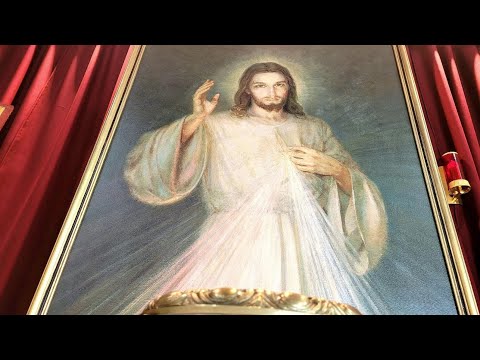19 de Agosto. Hora de la Misericordia EN VIVO