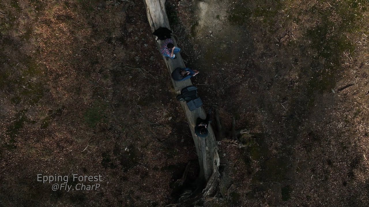 Epic Drone Footage at Epping Forest London