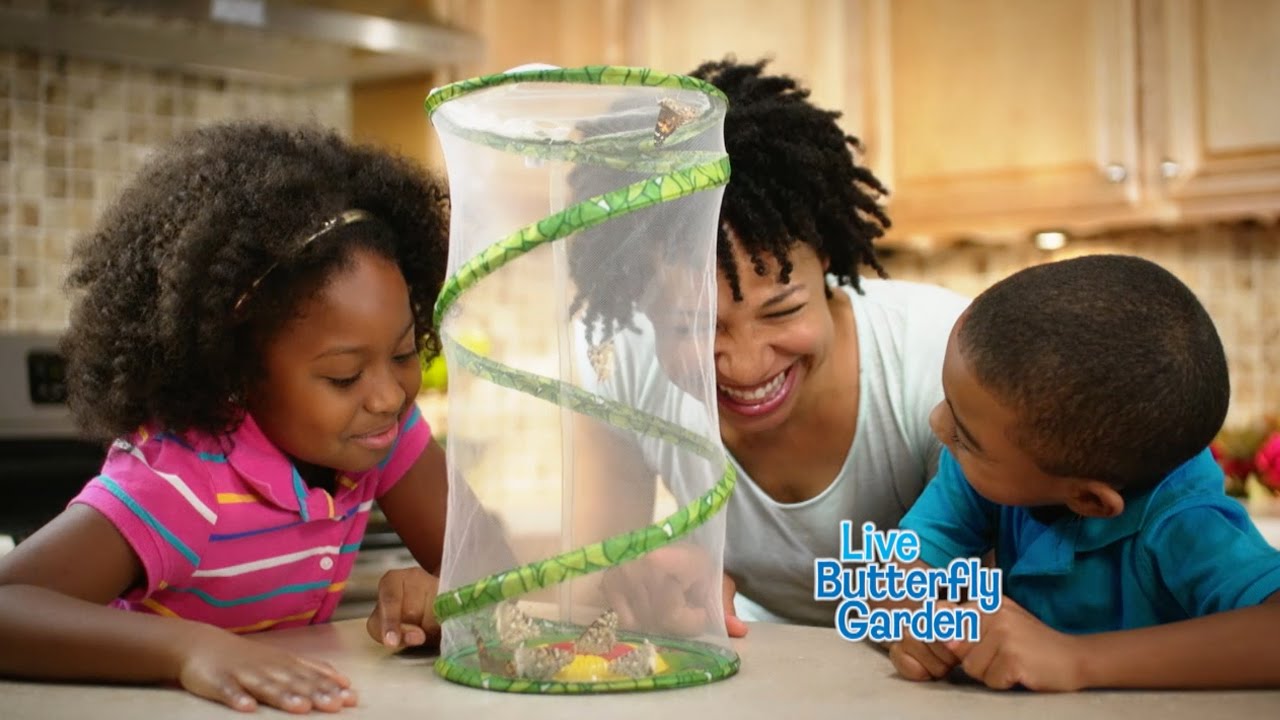Watching them grow. Watching them grow