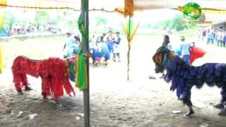 SEKETIP MATA SINGA DANGDUT KARISMA NADA DS.WANANTARA TIMUR KEC.SINDANG INDRAMAYU