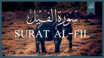 Surah Al-Fil (The Elephant) | سورة الفيل - Beautiful & Emotional Tilawat by Sheikh Subhan