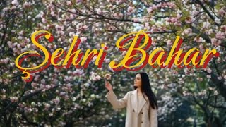 Şehr - I Bahar Duygusal Slow Aşk Şarkısı 
