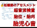 妊娠期のアセスメント〜超音波検査・胎児心音〜