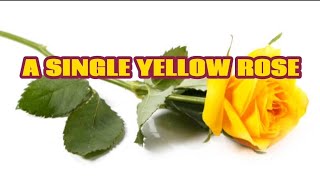 A SINGLE YELLOW ROSE KARAOKE By ISLA GRANT