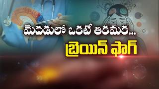 మదడల ఒకట తకమక... బరయన ఫగ Constant Confusion In The Mind Brain Fog Sukhibhava