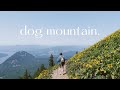 dog mountain | 05.24.23