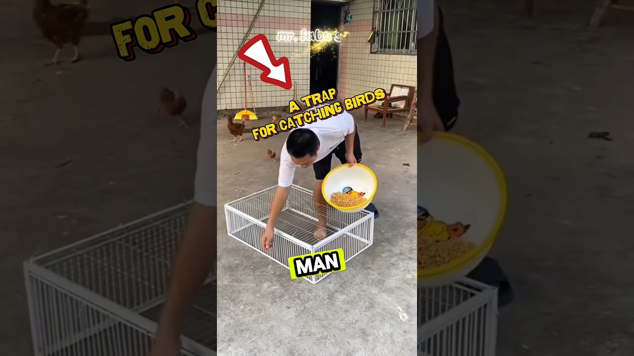 preview_player