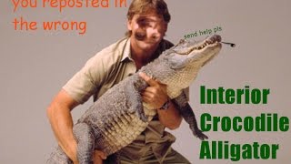 Wrong interior crocodile alligator ...
