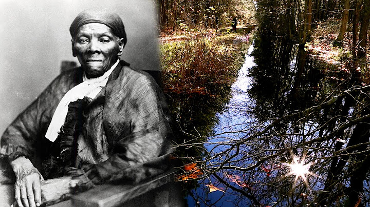 Is Harriet Tubman’s Childhood Home Somewhere in This Swamp?