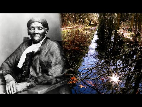 Is Harriet Tubman’s Childhood Home Somewhere in This Swamp?