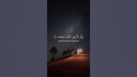 أفلا ينظرون إلى الإبل كيف خلقت ¦ تلاوة سورة الغاشية بصوت القارئ عبد الرحمن مسعد ❤️ ⚡ #القرأن_الكريم