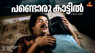 Pandoru Kattil Video Song Sandarbham Mammootty Saritha Baby Shalini - Johnson