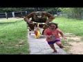 Try not to laugh  best funnys compilation  memes part 201