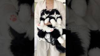 Which Realistic Cat Backpacks Do You Want?