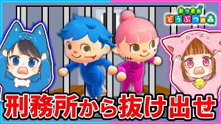 警察官にバレずにあつ森刑務所島から脱獄せよ!!!【あつ森】