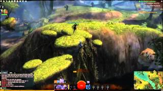 Guild Wars 2 spinning Bug