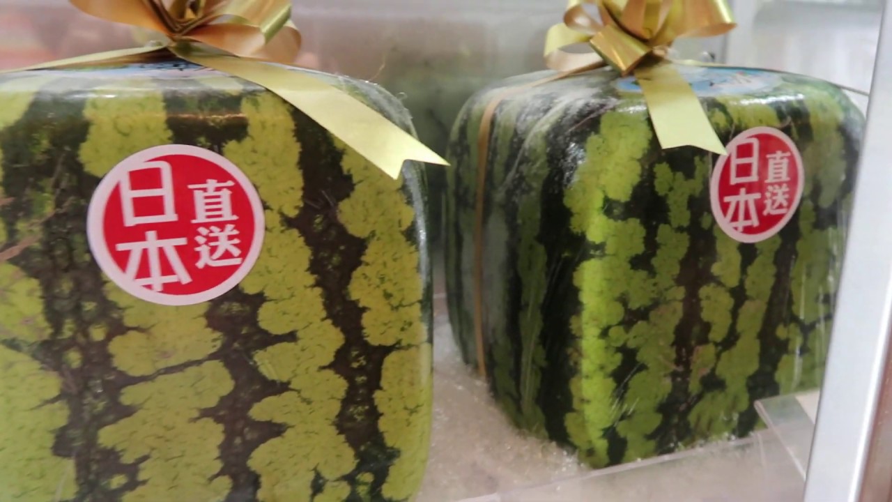 Square watermelons 善通寺產 四角スイカ 香川縣 watermelons grown into the shape of a