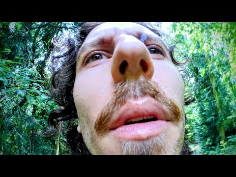 OUTDOOR ASMR🌲FOREST🌲RANDOM TRIGGERS OUTSIDE for DEEP SLEEP, NATURE SOUNDS FALL ASLEEP EAR SCRATCHING