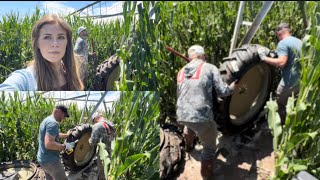 Changing Flat Tires in Tall Corn