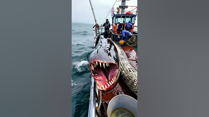 GIANT sea creature caught by fishermen🌊🐟
