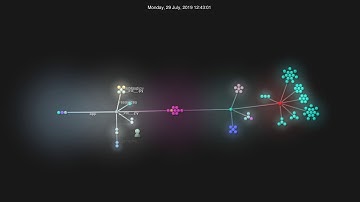 Source Code Visualization of MacThemes API (Generated with Gource and FFMPEG)