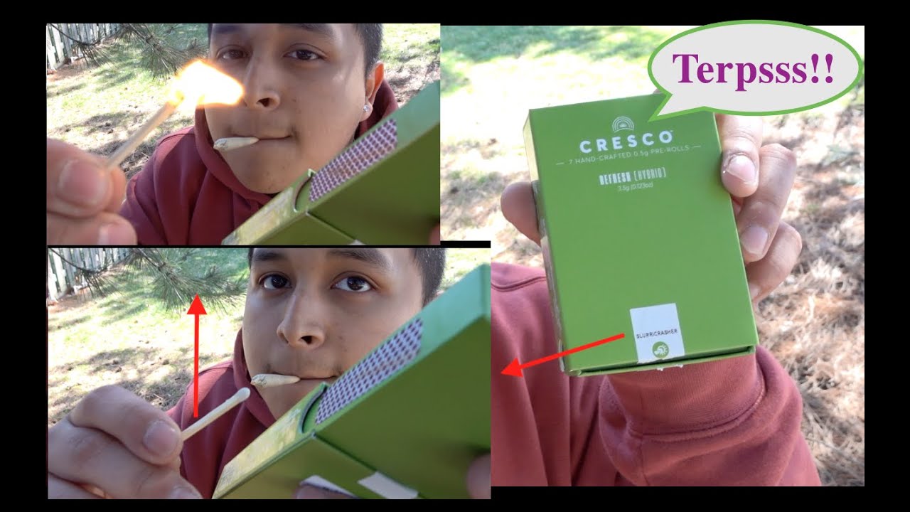 Cresco: *Slurricrasher* (Pre-Rolls) Strain Review