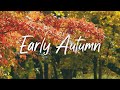 [4k] 3시간 가을에 듣기 좋은 힐링음악 🎵 아침음악, 명상음악, 스트레스해소음악 (Early Autumn)