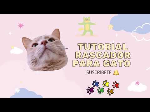 Video: Poste Rascador De Bricolaje Para Gatos Y Gatos: Cómo Hacer En Casa, Instrucciones Paso A Paso, Diagramas, Fotos, Tamaños, Elección De Materiales