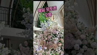 웨딩포토존 모음~네이버 블로그 (출처)
