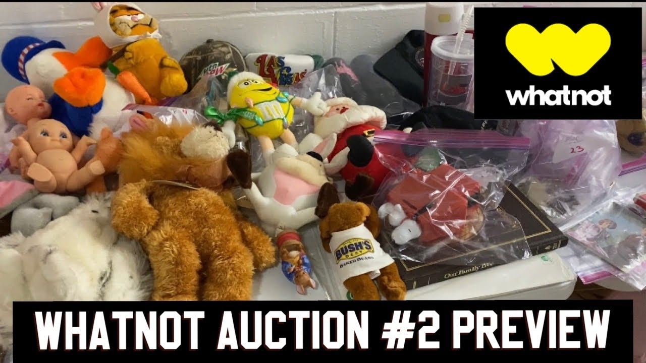 VINTAGE TOYS GALORE!!! WhatNot Auction 2 Preview for Wednesday, June