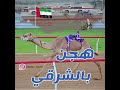 هجن ابن الشرقي 