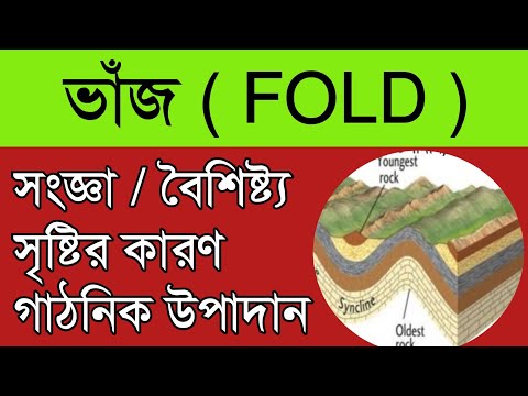 ভিডিও: ভাঁজ পাউফ: একটি ধাতব ফ্রেম এবং অন্যান্য মডেলের একটি ভাঁজ অটোমান চয়ন করুন। বসানোর সূক্ষ্মতা