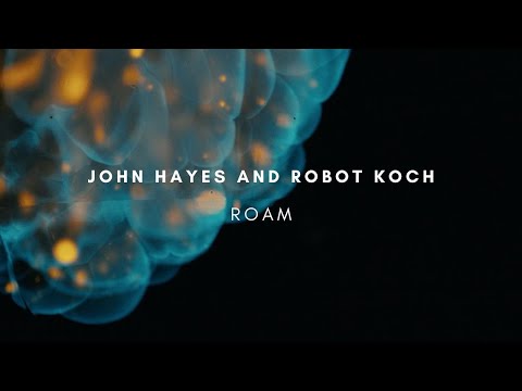 Robot Koch and John Hayes - Roam