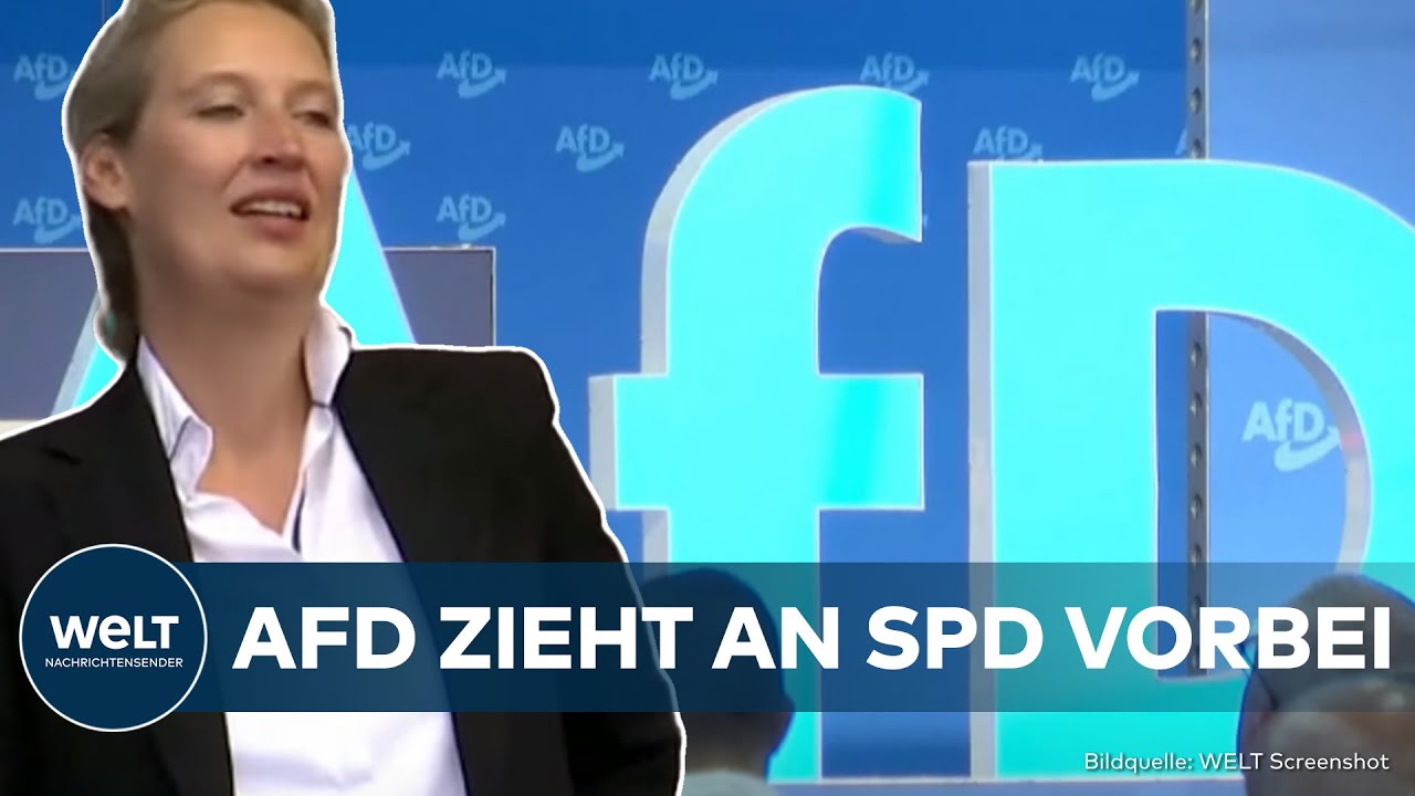 DEUTSCHLAND: Rekordtief! Ampel stürzt in Umfrage ab! Eine Partei ist so stark wie SPD, FDP und Grüne