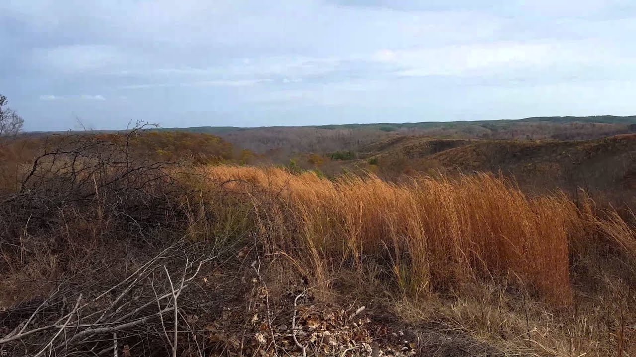 Eagle Creek WMA, waynesboro TN YouTube