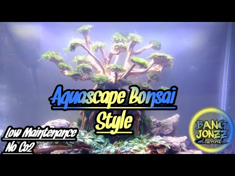 aquascape-bonsai-style|-aquascaping-step-by-step|-vlog#53