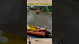 Wanita Misterius Berhati Malaikat