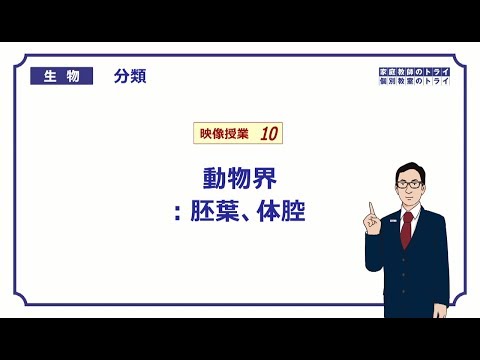 【高校生物】　分類10　動物界：胚葉、体腔（20分）