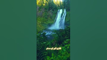 #القارئ_أنور_أبو_مسلم #القرآن_الكريم