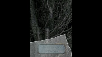 تلاوة جميلة🪴#القارئ_عبدالله_البالاني #القرآن_الكريم #حالات_واتس #حالات #اكسبلور #explore#تلاوة#فولو