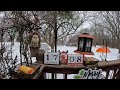 My Countdown to Christmas Bird &amp; Squirrel Livestream