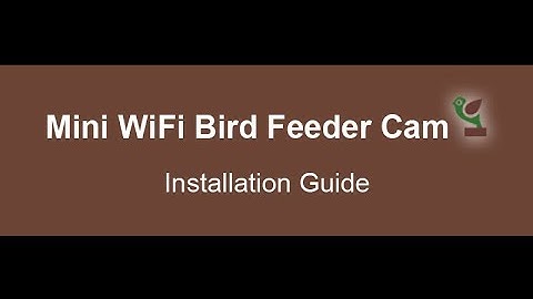 How to Install Mini IP Camera to Watch Bird Feeder?
