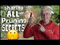 How to PRUNE FRUIT TREES & SHRUBS (The Quick & Dirty) 2021